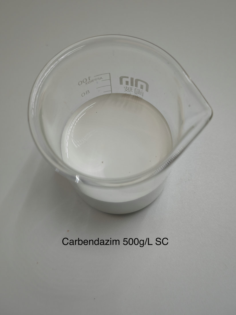 Carabendazim 500g/L SC
